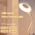 USB Smart Voice Night Light
