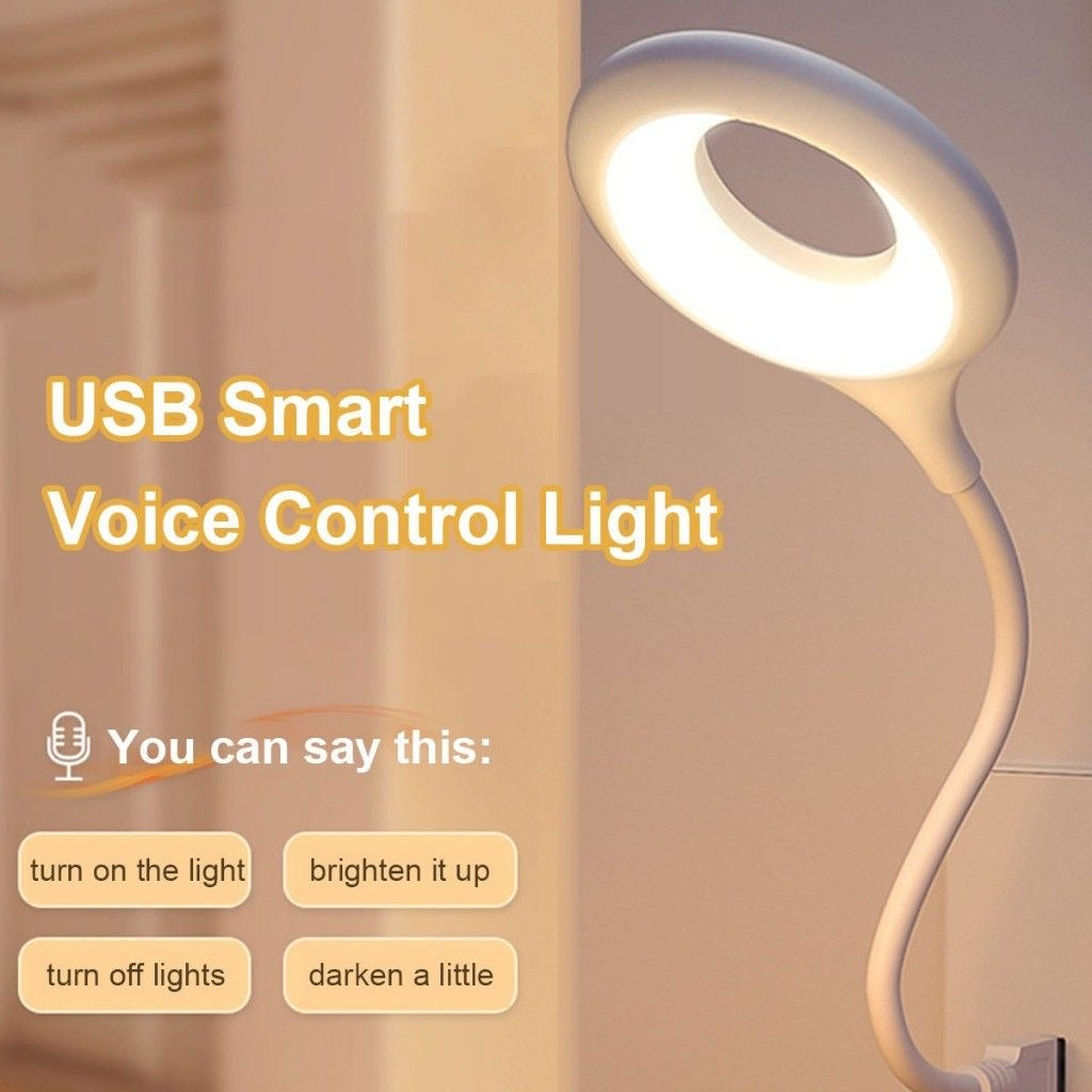 USB Smart Voice Night Light