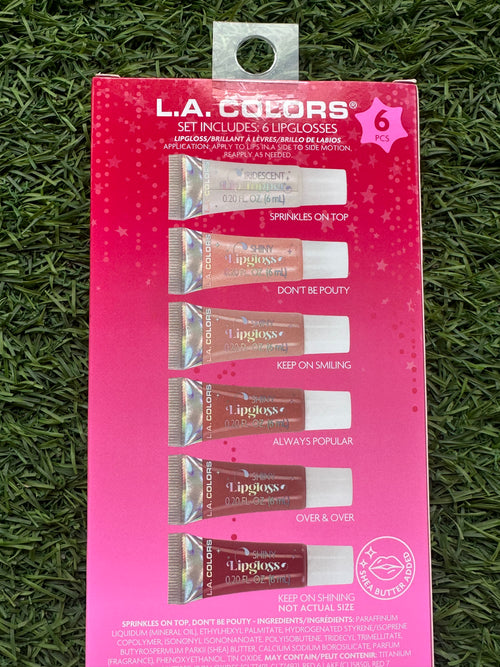 6 Pcs Nude Lipgloss Set