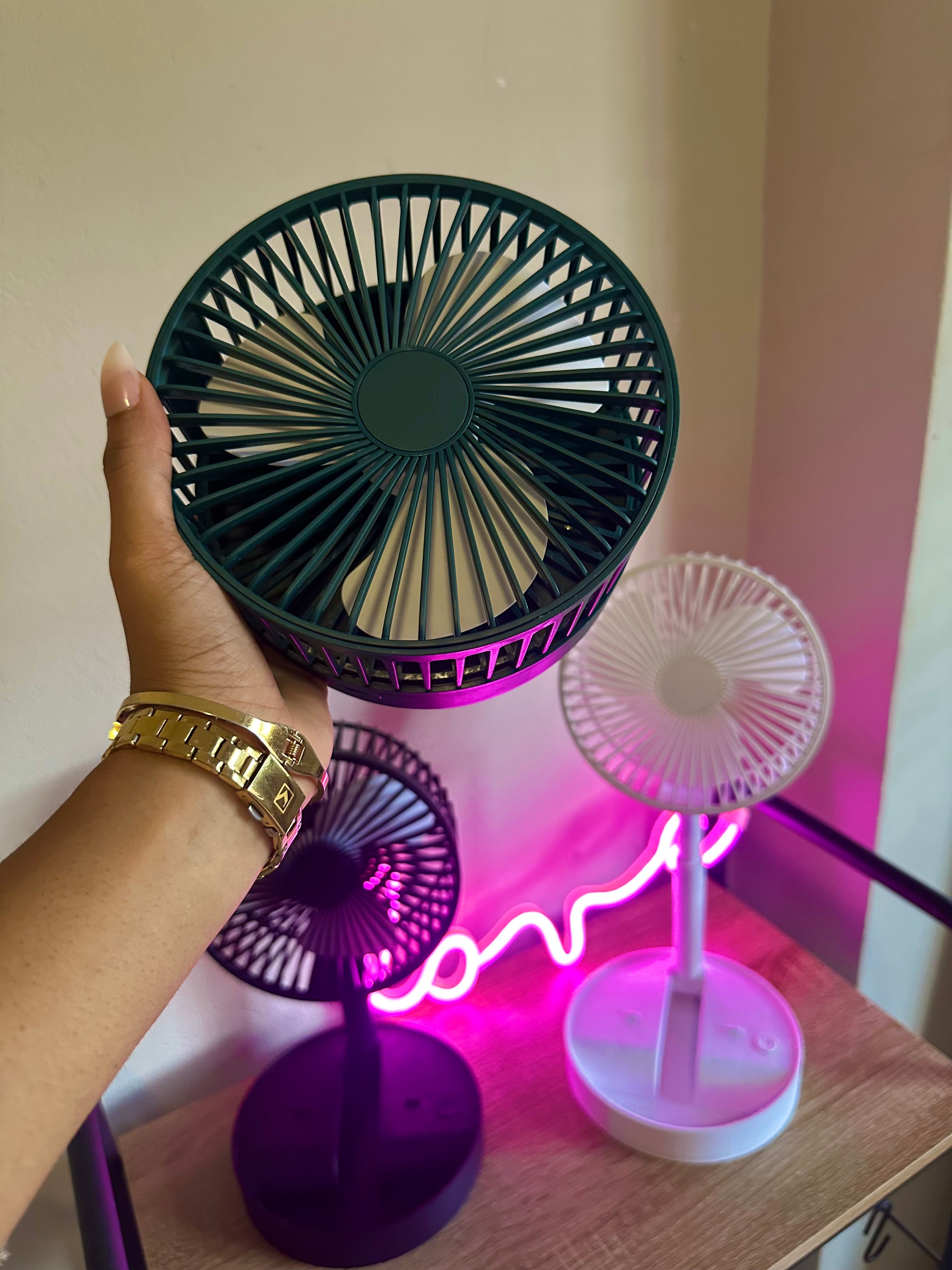 FlexBreeze™ 4-in-1 Foldable Fan