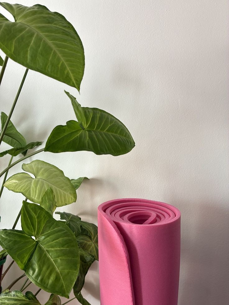 Fierce But Flexible’ yoga mat